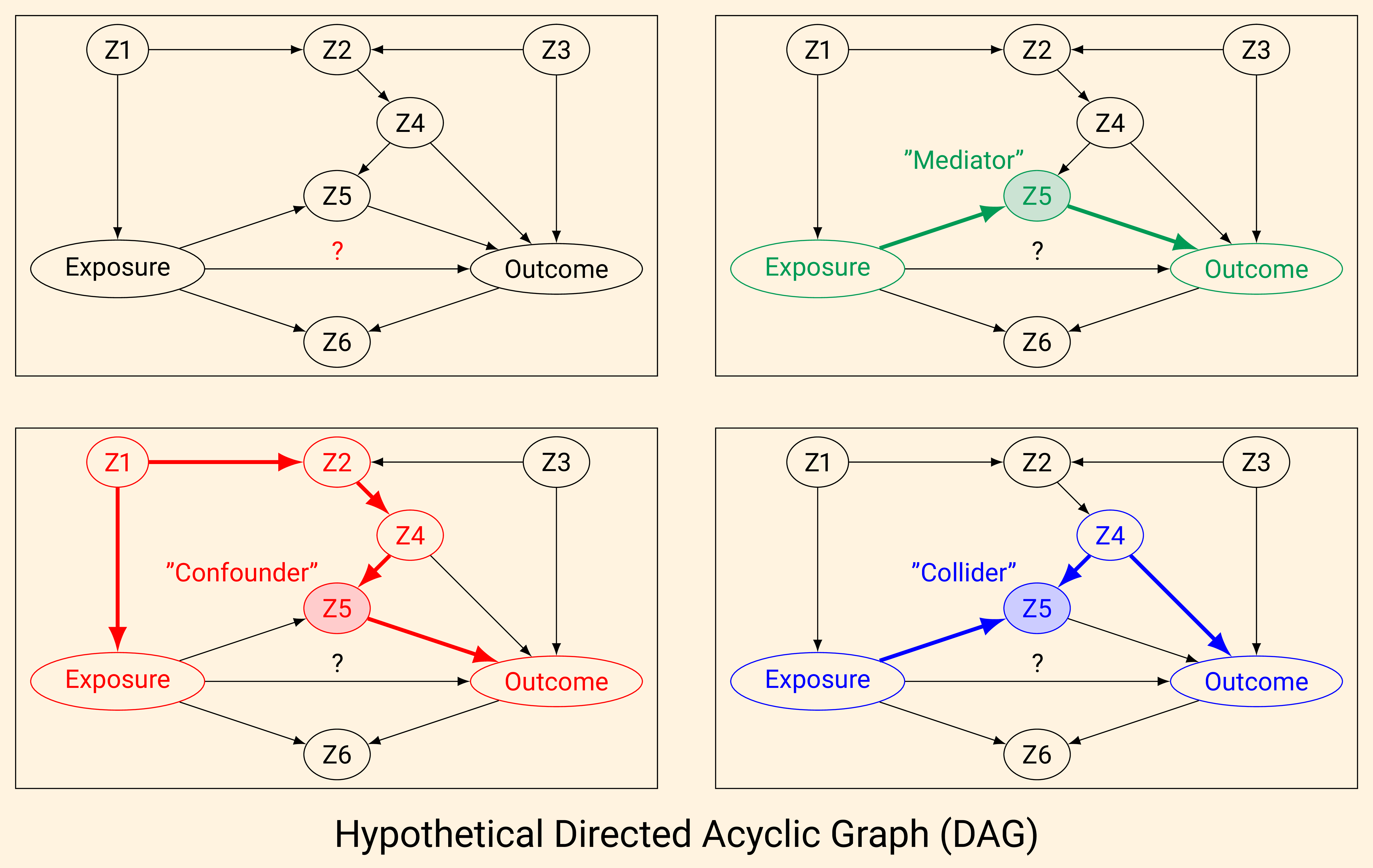 Directed acyclic graphs (DAGs): Role of variables in epidemiological studies